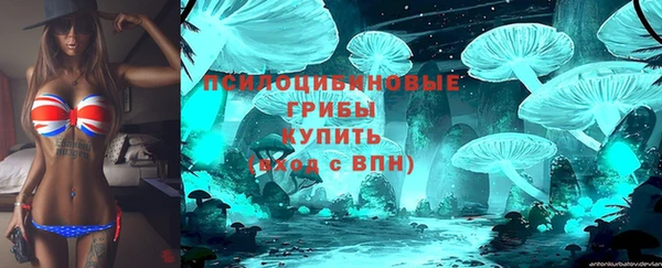 не бодяженный Верхний Тагил