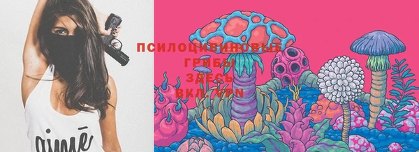 соль ск Верея